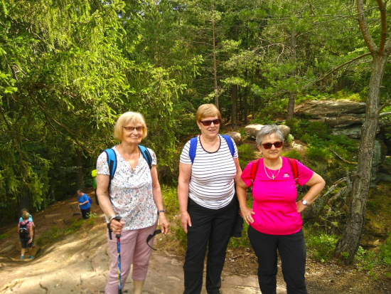 Felsenwald-Tour_Juni_2021